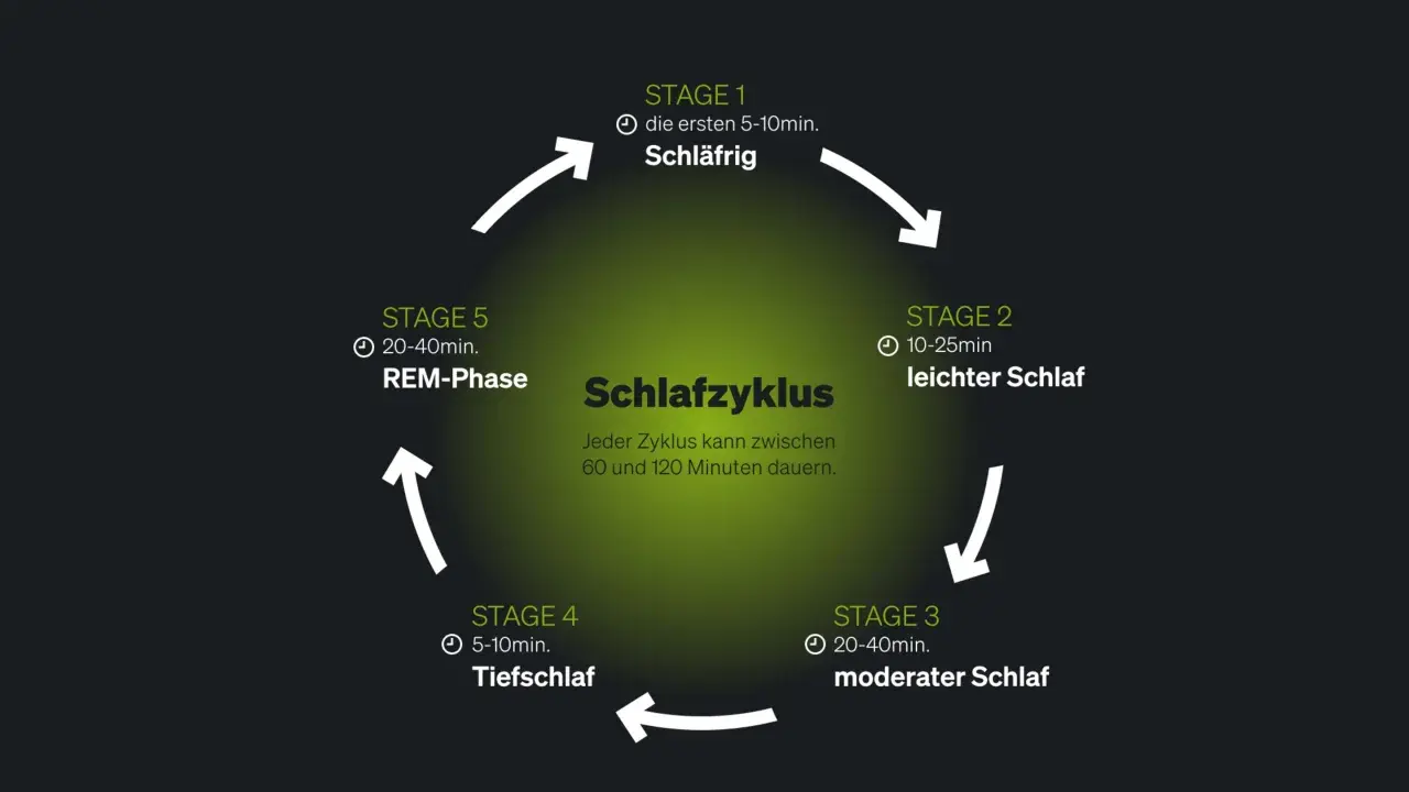 Schlafzyklus-Diagramm zeigt Stadien von leicht bis tief. Fehlender Tiefschlaf kann Ursache für Schlafstörungen sein.