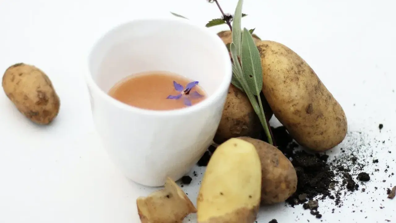 Ein weißer Becher mit Kartoffelsaft, garniert mit einer Blüte. Kartoffeln und Kräuter daneben. Hilft bei Sodbrennen.