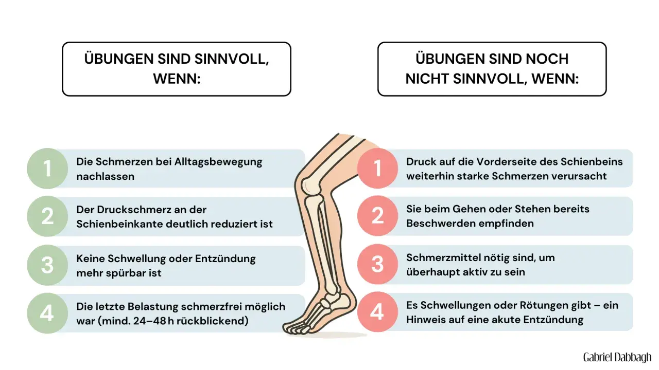 Grafik zeigt, wann Dehnen des Schienbeins sinnvoll ist: bei nachlassenden Schmerzen, reduzierten Druckschmerzen und ohne Entzündung.