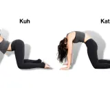 Frau in Kuh- und Katzenstellung, zwei von 12 Grundstellungen im Hatha Yoga.