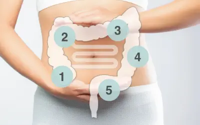 Bauchmassage bei Verstopfung: Hände auf dem Bauch, um den Darm zu stimulieren. 5 Punkte markieren den Weg.