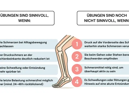 Grafik zeigt, wann Dehnen des Schienbeins sinnvoll ist: bei nachlassenden Schmerzen, reduzierten Druckschmerzen und ohne Entzündung.