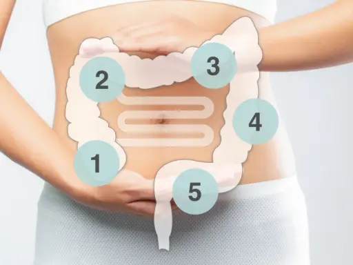 Bauchmassage bei Verstopfung: Hände auf dem Bauch, um den Darm zu stimulieren. 5 Punkte markieren den Weg.