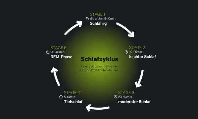 Schlafzyklus-Diagramm zeigt Stadien von leicht bis tief. Fehlender Tiefschlaf kann Ursache für Schlafstörungen sein.
