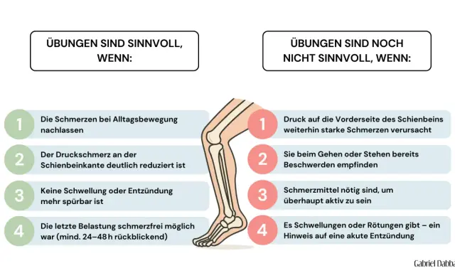 Grafik zeigt, wann Dehnen des Schienbeins sinnvoll ist: bei nachlassenden Schmerzen, reduzierten Druckschmerzen und ohne Entzündung.