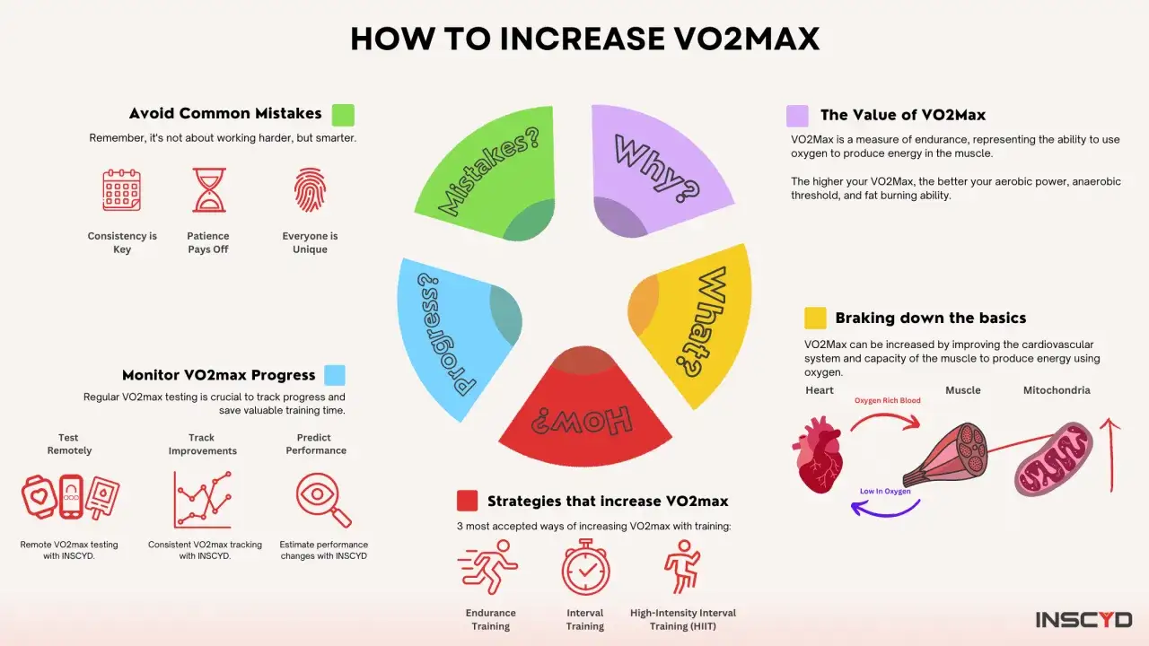 Grafik erklärt, wie man den VO2max-Wert steigert. Sie zeigt Strategien, vermeidbare Fehler und die Bedeutung von VO2max für die Ausdauer.