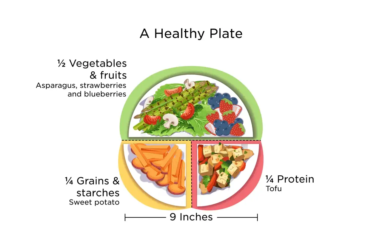 Gesunde Ern&auml;hrung: &frac12; Gem&uuml;se/Obst, &frac14; Kohlenhydrate, &frac14; Protein. Das zeigt die Bedeutung eines ausgewogenen, omnivoren Tellers.