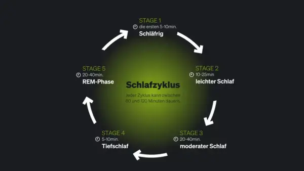 Schema des Schlafzyklus mit Phasen: Schläfrig, leichter Schlaf, moderater Schlaf, Tiefschlaf und REM-Phase. Ein Zyklus dauert 60-120 Minuten.