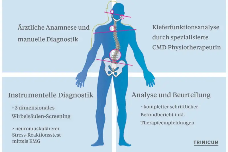 Schema zur Diagnose von Haltungsschäden, die auch den Kiefer betreffen können. Ein Bandscheibenvorfall im Kieferbereich wird hier mit anderen Diagnostiken verglichen.